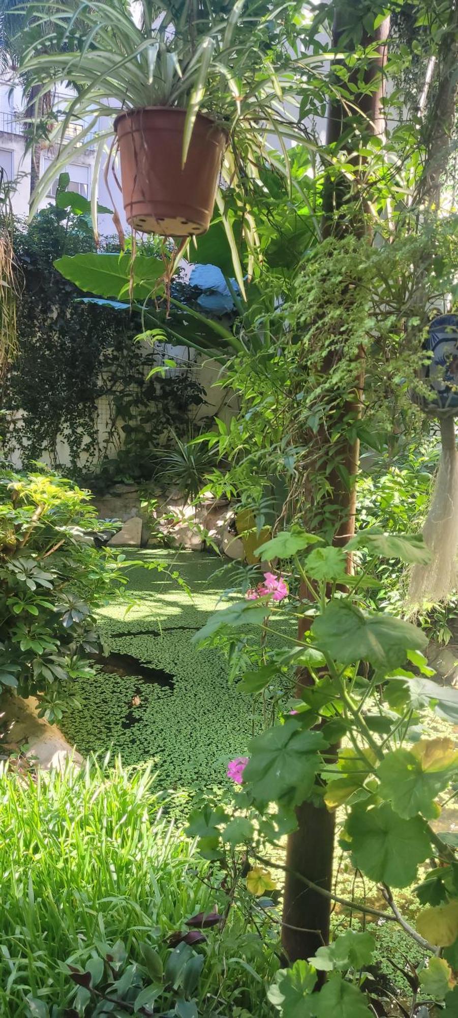 Ferienwohnung Belgrano Buenos Aires Exterior foto